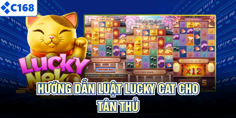 Hướng dẫn luật Lucky Cat cho tân thủ