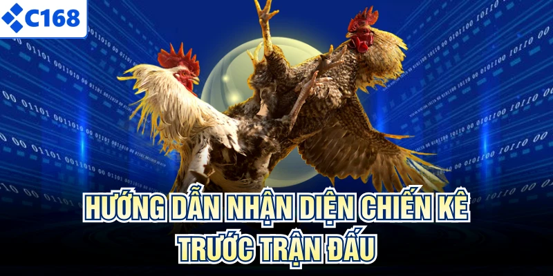 Hướng dẫn nhận diện chiến kê trước trận đấu